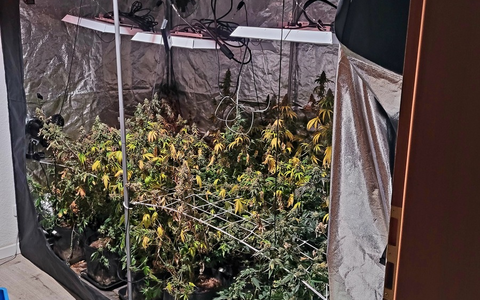 POL-SU: Drogenfahnder durchsuchen Wohnung - Foto: presseportal.de