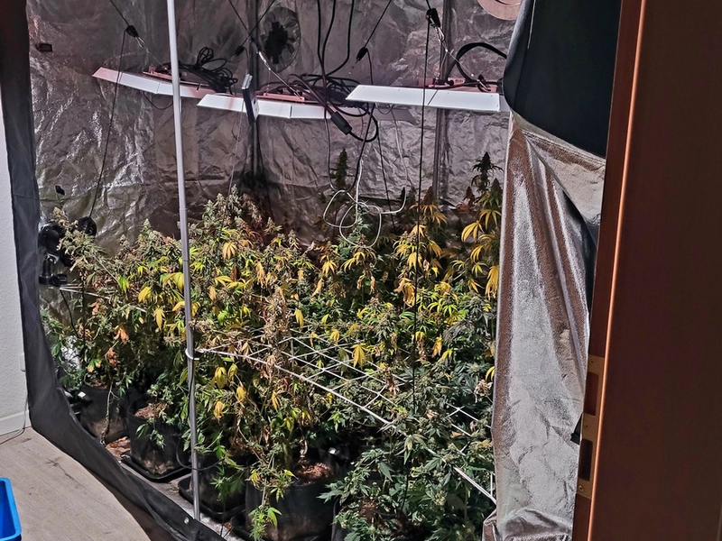 POL-SU: Drogenfahnder durchsuchen Wohnung - Foto: presseportal.de