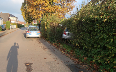 POL-DEL: Landkreis Oldenburg: Pkw kommt in Hude von Fahrbahn ab und in einer Hecke zum Stillstand - Foto: presseportal.de