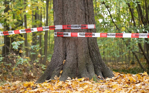 Absperrband der Polizei: Rund 180 Beamte der Bereitschaftspolizei durchkämmten den Wald. - Foto: Sebastian Kahnert/dpa