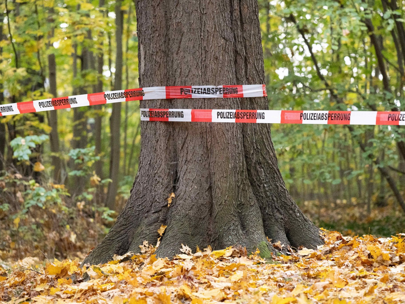 Absperrband der Polizei: Rund 180 Beamte der Bereitschaftspolizei durchkämmten den Wald. - Foto: Sebastian Kahnert/dpa