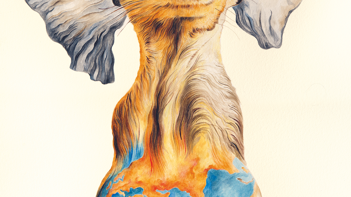  - Foto: Maleika Film GmbH über pressetext.de