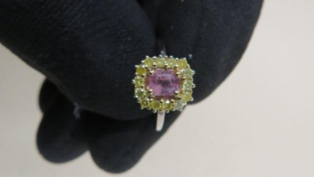 HZA-HN: Knuddelig versteckt, aber vom Zoll entdeckt/ 