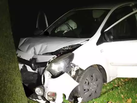 POL-MI: Pizzabote kracht mit Auto gegen Baum - Foto: presseportal.de