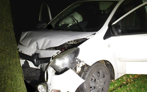 POL-MI: Pizzabote kracht mit Auto gegen Baum - Foto: presseportal.de