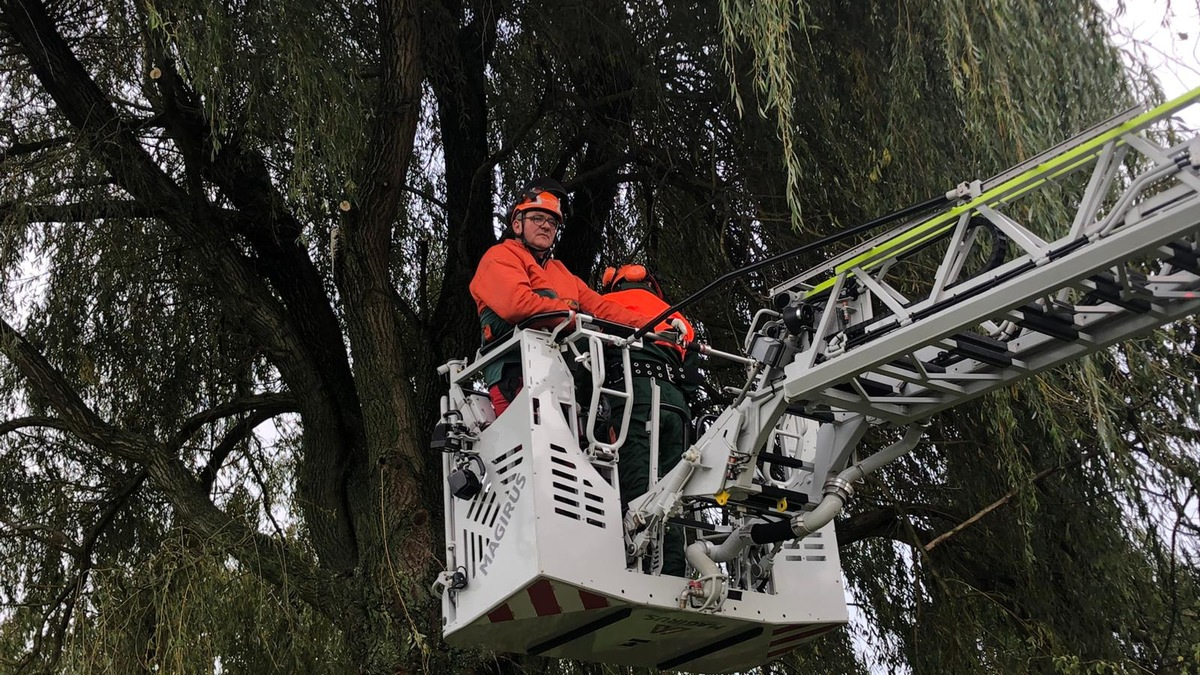 FW-KLE: Achtung, Baum fällt! - Ausbildung an der Motorsäge bei der Freiwilligen Feuerwehr Bedburg-Hau - Foto: presseportal.de