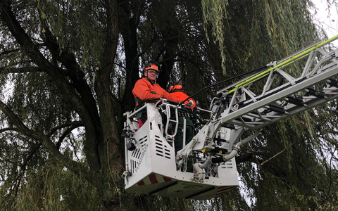 FW-KLE: Achtung, Baum fällt! - Ausbildung an der Motorsäge bei der Freiwilligen Feuerwehr Bedburg-Hau - Foto: presseportal.de
