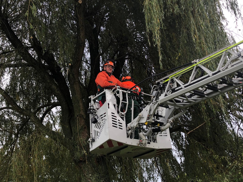 FW-KLE: Achtung, Baum fällt! - Ausbildung an der Motorsäge bei der Freiwilligen Feuerwehr Bedburg-Hau - Foto: presseportal.de