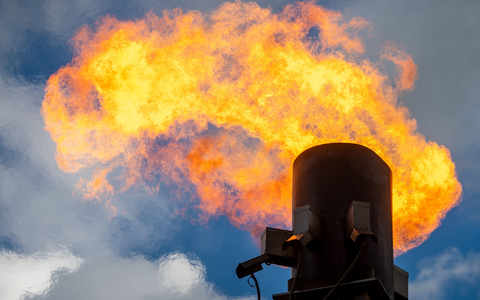 Global steigen die Gefahren durch Waldbrände und die Ausbreitung tropischer Infektionskrankheiten. - Foto: Hendrik Schmidt/dpa-Zentralbild/dpa Global steigen die Gefahren durch Waldbrände und die Ausbreitung tropischer Infektionskrankheiten. - Foto: Hendrik Schmidt/dpa-Zentralbild/dpa