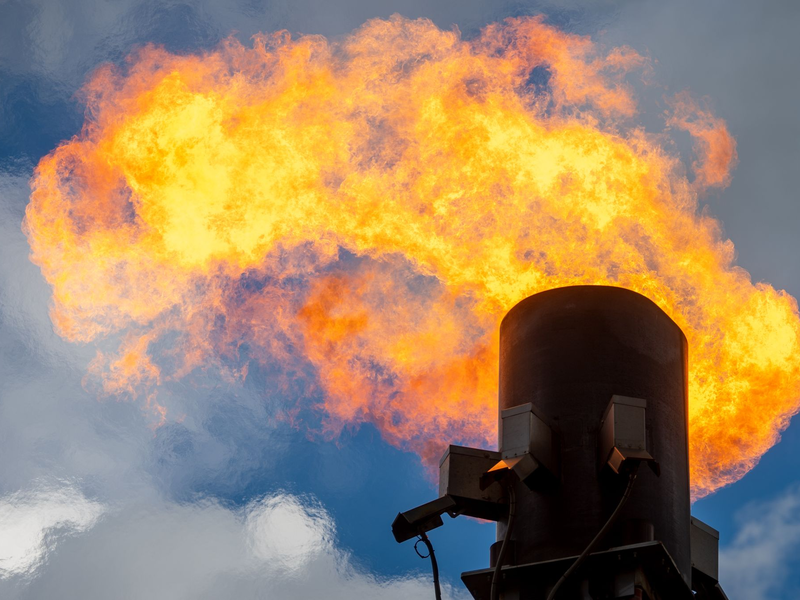 Global steigen die Gefahren durch Waldbrände und die Ausbreitung tropischer Infektionskrankheiten. - Foto: Hendrik Schmidt/dpa-Zentralbild/dpa