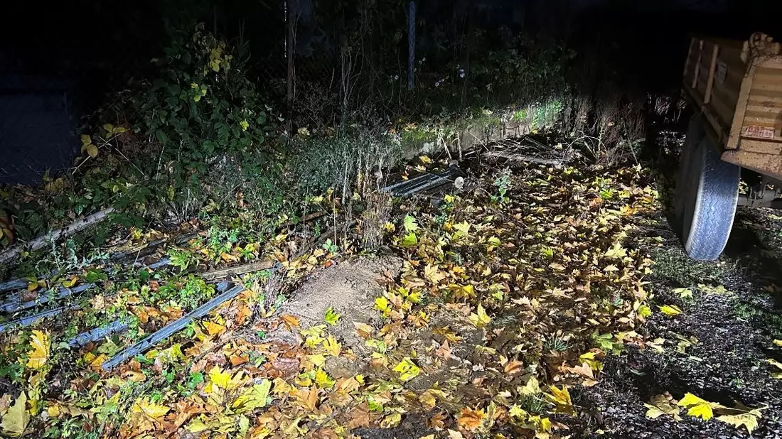 POL-PDLD: Rhodt - Diebstahl von Wingertspfählen - Bild: presseportal.de