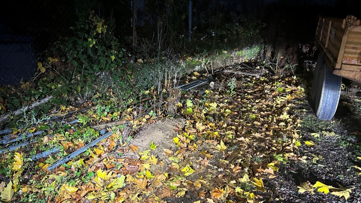 POL-PDLD: Rhodt - Diebstahl von Wingertspfählen - Foto: presseportal.de