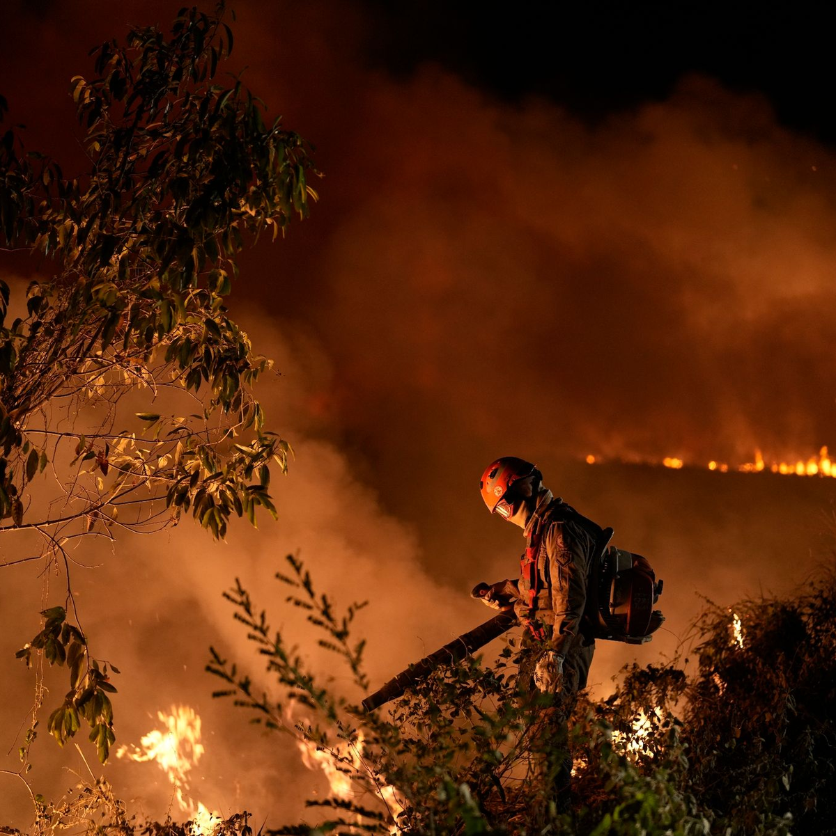 Kaimane liegen am Ufer des fast ausgetrockneten Flusses Bento Gomes im Pantanal-Feuchtgebiet im brasilianischen Bundesstaat Mato Grosso. - Foto: Andre Penner/AP