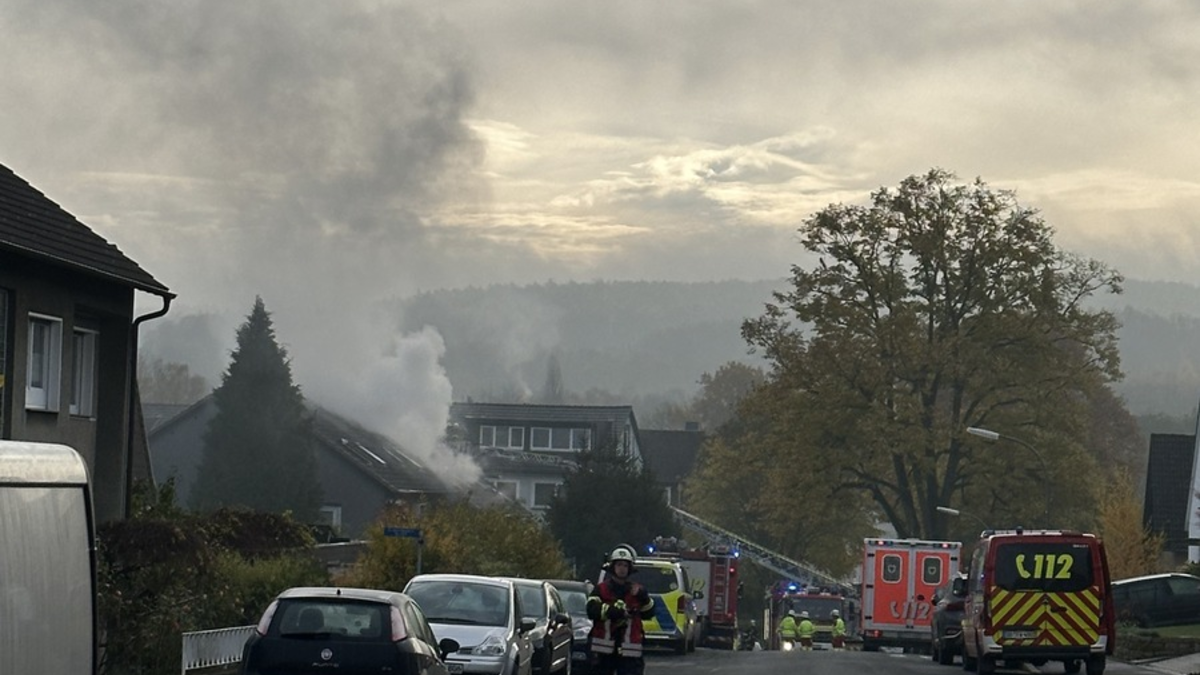 FW-DO: Feuer in einer Dachgeschosswohnung im Dortmunder Süden - Drei Katzen starben - Foto: presseportal.de