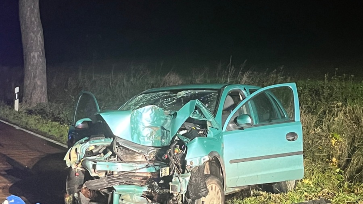 POL-HI: Schwerer Baumunfall fordert eine schwer- und eine leichtverletzte Person - Foto: presseportal.de