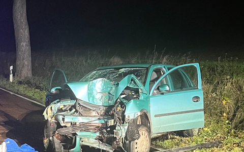 POL-HI: Schwerer Baumunfall fordert eine schwer- und eine leichtverletzte Person - Foto: presseportal.de