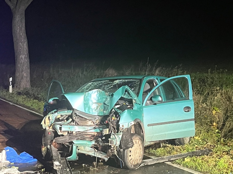 POL-HI: Schwerer Baumunfall fordert eine schwer- und eine leichtverletzte Person - Foto: presseportal.de