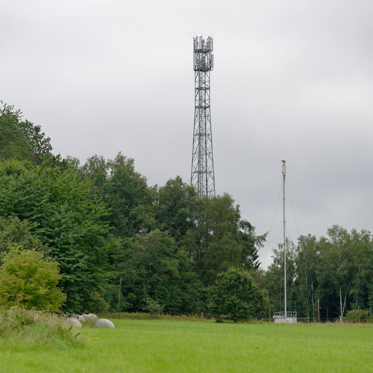 Zwei Funkmasten stehen am Waldrand im Westerwald. - Foto: Henning Kaiser/dpa