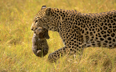  - Foto: Maleika Film GmbH über pressetext.de