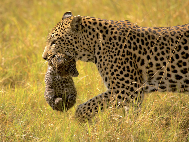  - Foto: Maleika Film GmbH über pressetext.de