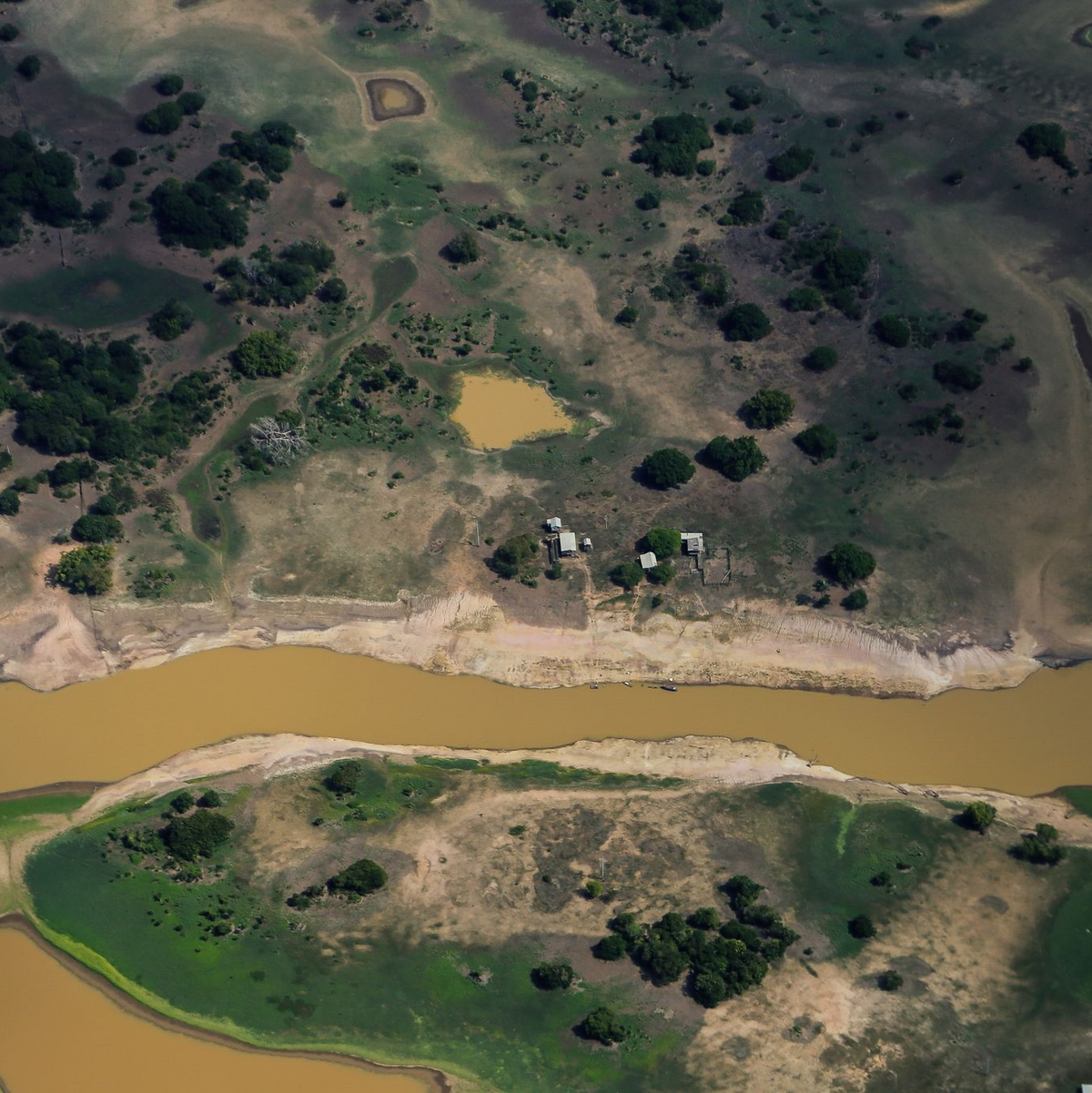 Folgen der Dürre und Hitze: Trockene Flächen sind im Regenwaldgebiet bei Parintins zu sehen. - Foto: Aguilar Abecassis/dpa