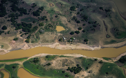 Folgen der Dürre und Hitze: Trockene Flächen sind im Regenwaldgebiet bei Parintins zu sehen. - Foto: Aguilar Abecassis/dpa