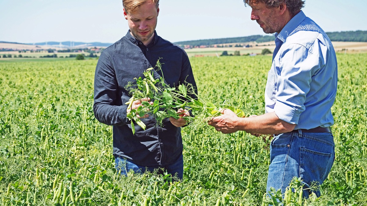 Neues Geschäftsfeld: Nordzucker investiert in pflanzenbasierte Proteine - neues Werk geht 2026 in Betrieb - Foto: presseportal.de