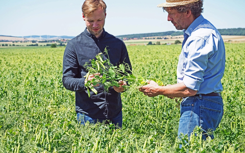 Neues Geschäftsfeld: Nordzucker investiert in pflanzenbasierte Proteine - neues Werk geht 2026 in Betrieb - Foto: presseportal.de