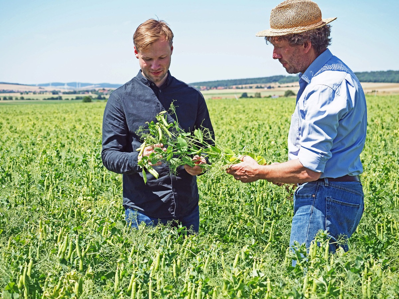 Neues Geschäftsfeld: Nordzucker investiert in pflanzenbasierte Proteine - neues Werk geht 2026 in Betrieb - Foto: presseportal.de