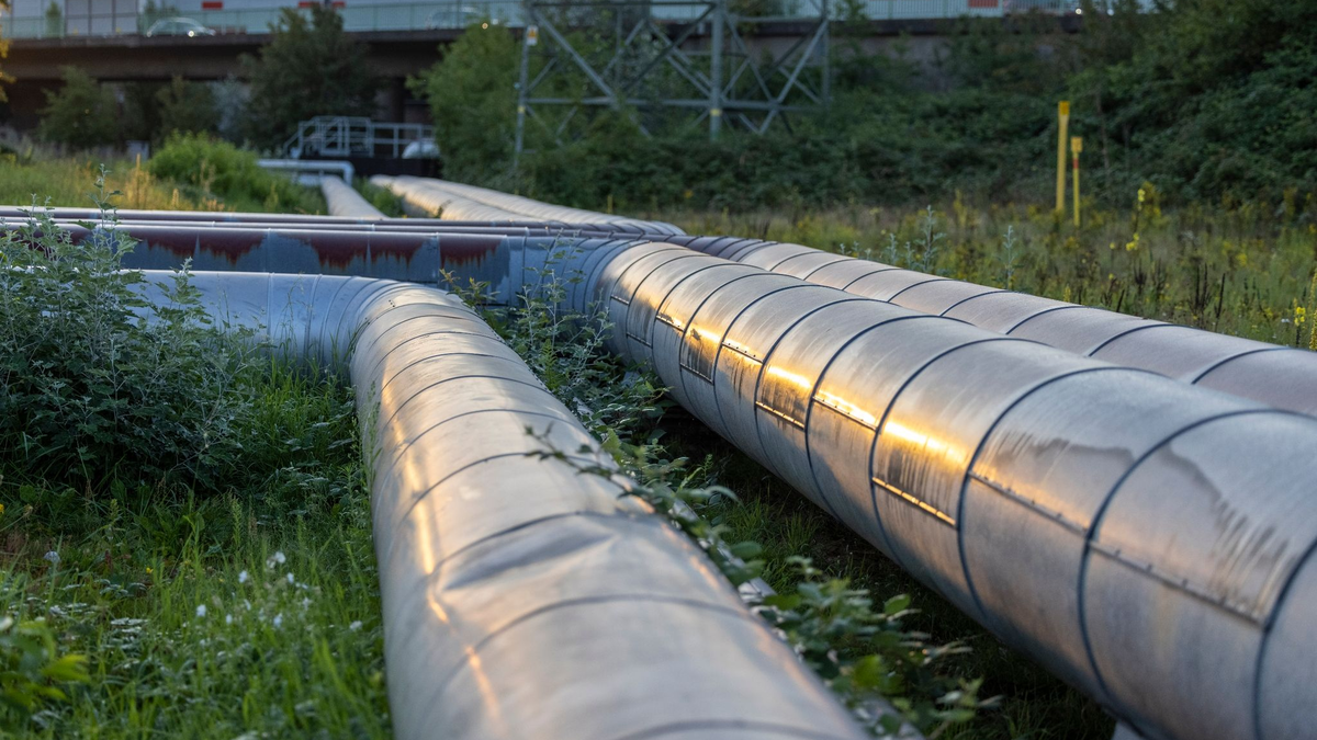 Eon und Hansewerk Natur werden von der Verbraucherzentrale wegen angeblich rechtswidriger Preiserhöhungen verklagt. - Foto: Thomas Banneyer/dpa