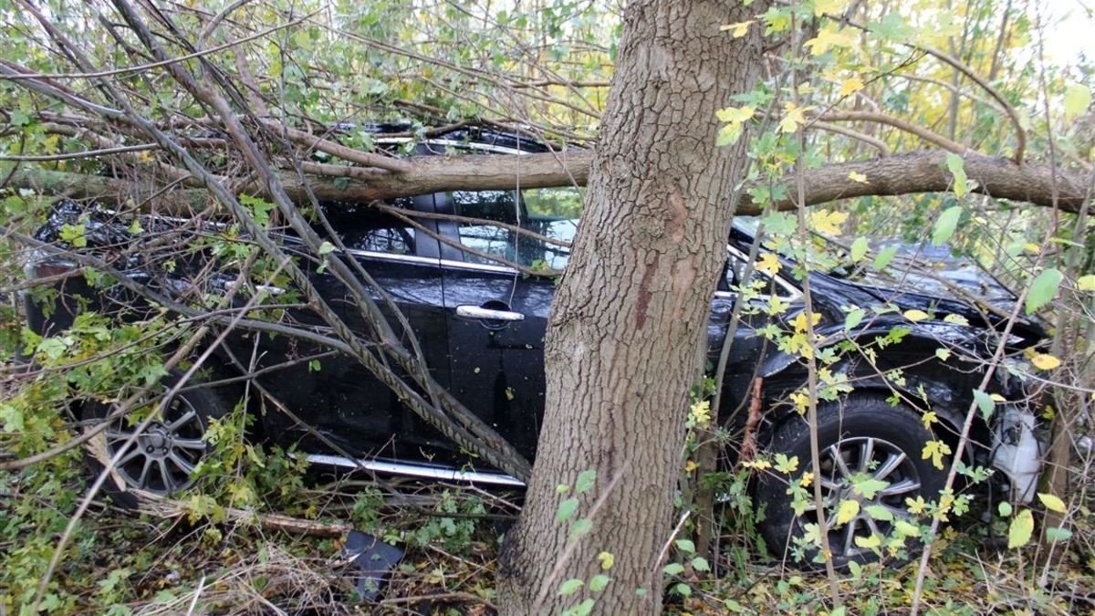 POL-MI: Fahranfänger verliert Kontrolle über seinen Wagen - Foto: presseportal.de