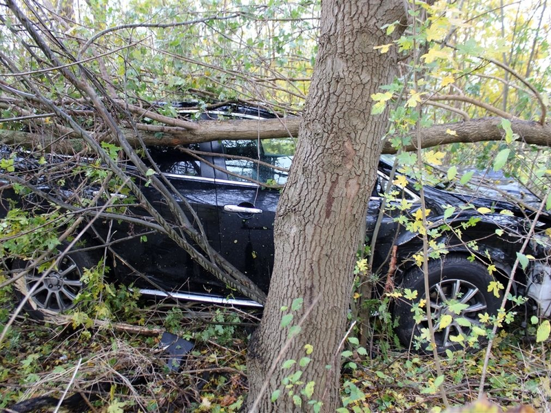 POL-MI: Fahranfänger verliert Kontrolle über seinen Wagen - Foto: presseportal.de