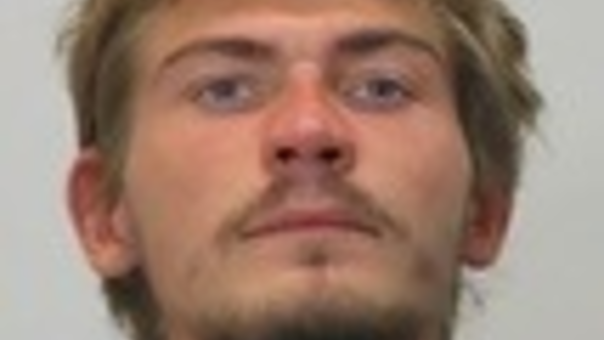 POL-HH: 231120-4. Vermisstenfahndung nach 28-Jährigem aus Hamburg-Schnelsen - Foto: presseportal.de