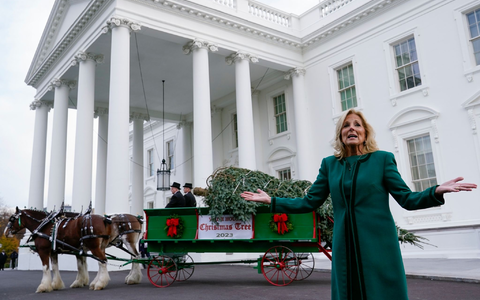 Jill Biden nimmt den offiziellen Weihnachtsbaum für das Weiße Haus in Empfang. - Foto: Susan Walsh/AP