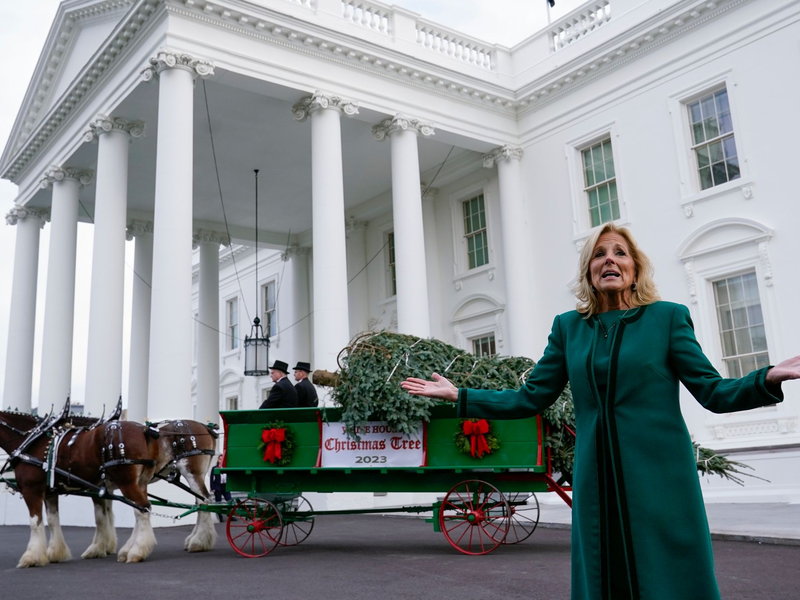 Jill Biden nimmt den offiziellen Weihnachtsbaum für das Weiße Haus in Empfang. - Foto: Susan Walsh/AP
