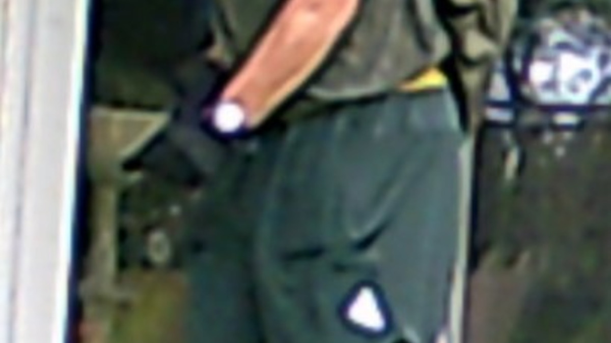 POL-EL: Engden - Öffentlichkeitsfahndung nach Einbruch (Fotos) - Foto: presseportal.de