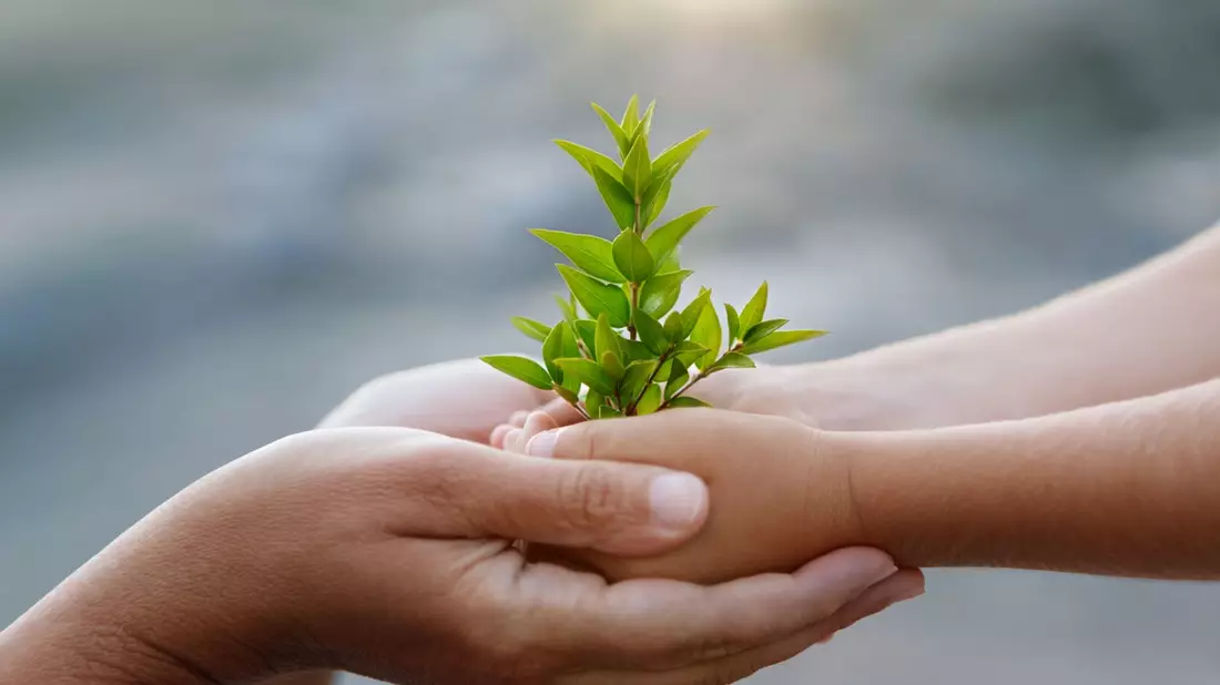 Erfolgreiches Engagement für den Klimaschutz: Science Based Targets initiative (SBTi) validiert die Umweltziele von schülke - Bild: presseportal.de