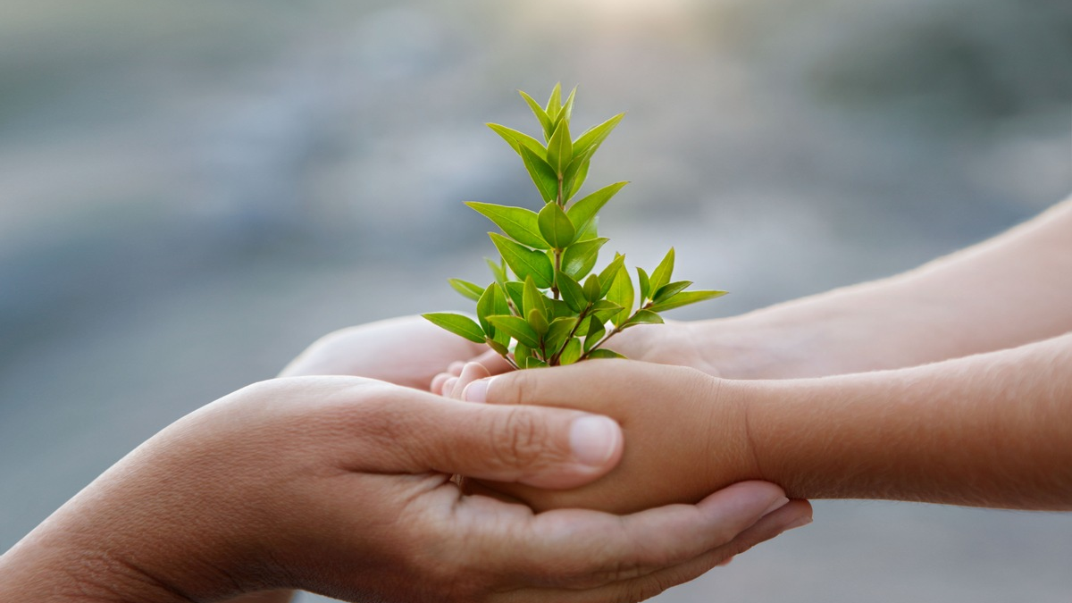 Gemeinsam einstehen für Diversität, Inklusion und Nachhaltigkeit beim Pinot and Rock Festival - Foto: presseportal.de