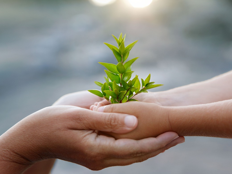 Gemeinsam einstehen für Diversität, Inklusion und Nachhaltigkeit beim Pinot and Rock Festival - Foto: presseportal.de