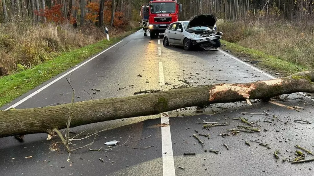 POL-HI: Baum fällt auf Straße - Verkehrsunfall fordert einen Verletzten - - Bild: presseportal.de