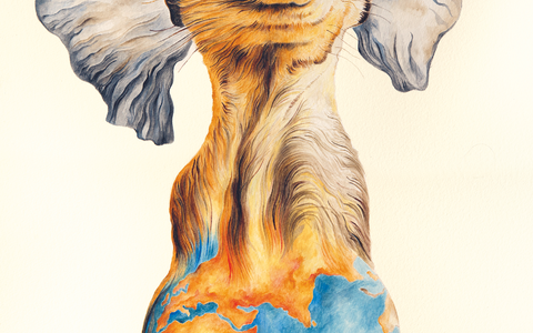  - Foto: Maleika Film GmbH über pressetext.de