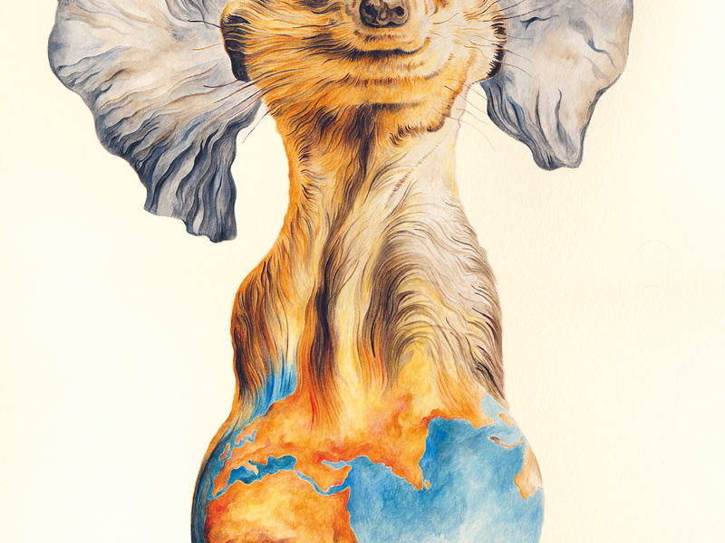  - Foto: Maleika Film GmbH über pressetext.de