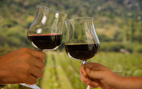 Bewusst genießen: Bio-Lebensmittel in Argentinien im Trend - Foto: presseportal.de