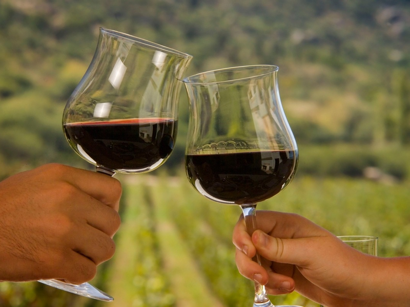 Bewusst genießen: Bio-Lebensmittel in Argentinien im Trend - Foto: presseportal.de