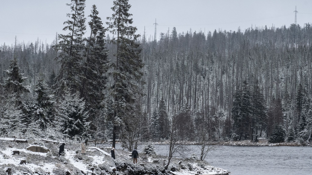 Wanderer gehen am leicht verschneiten Oderteich im Harz spazieren. - Foto: Swen Pförtner/dpa