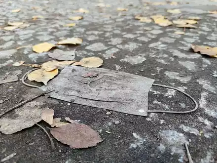 Weggeworfener Mund-Nasen-Schutz im Herbst (Archiv) - Foto: über dts Nachrichtenagentur