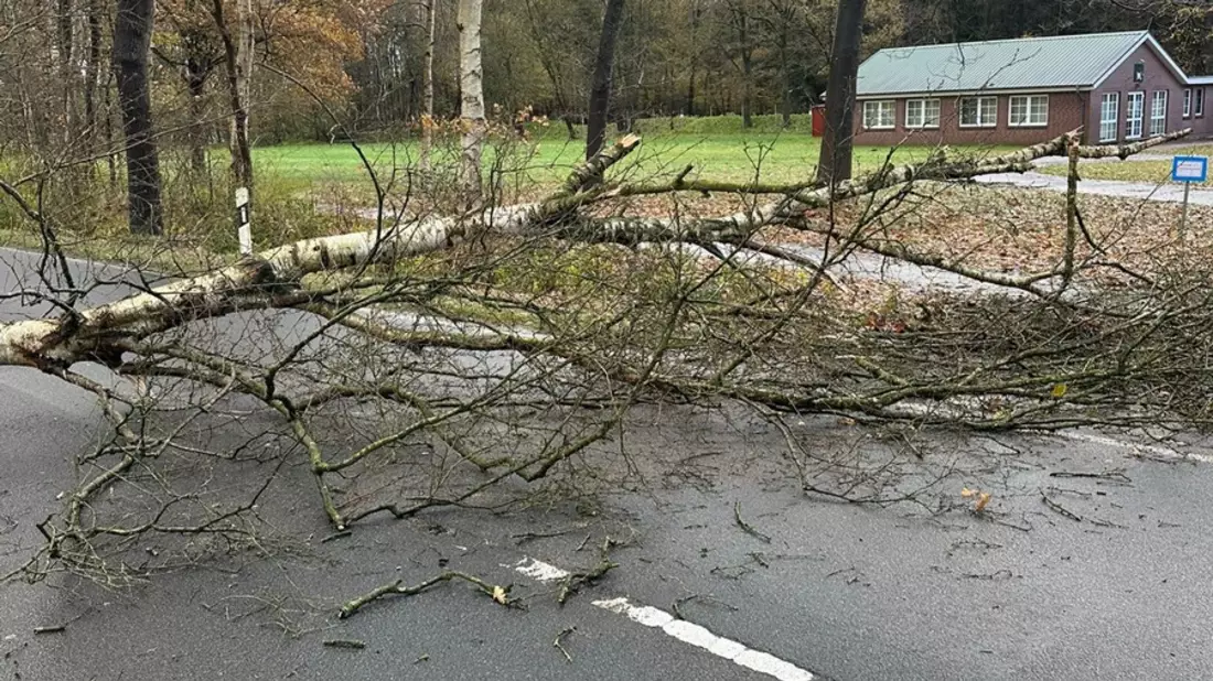 FFW Schiffdorf: Windböen sorgen für Einsatz der Ortsfeuerwehr Wehdel: L143 blockiert - Bild: presseportal.de