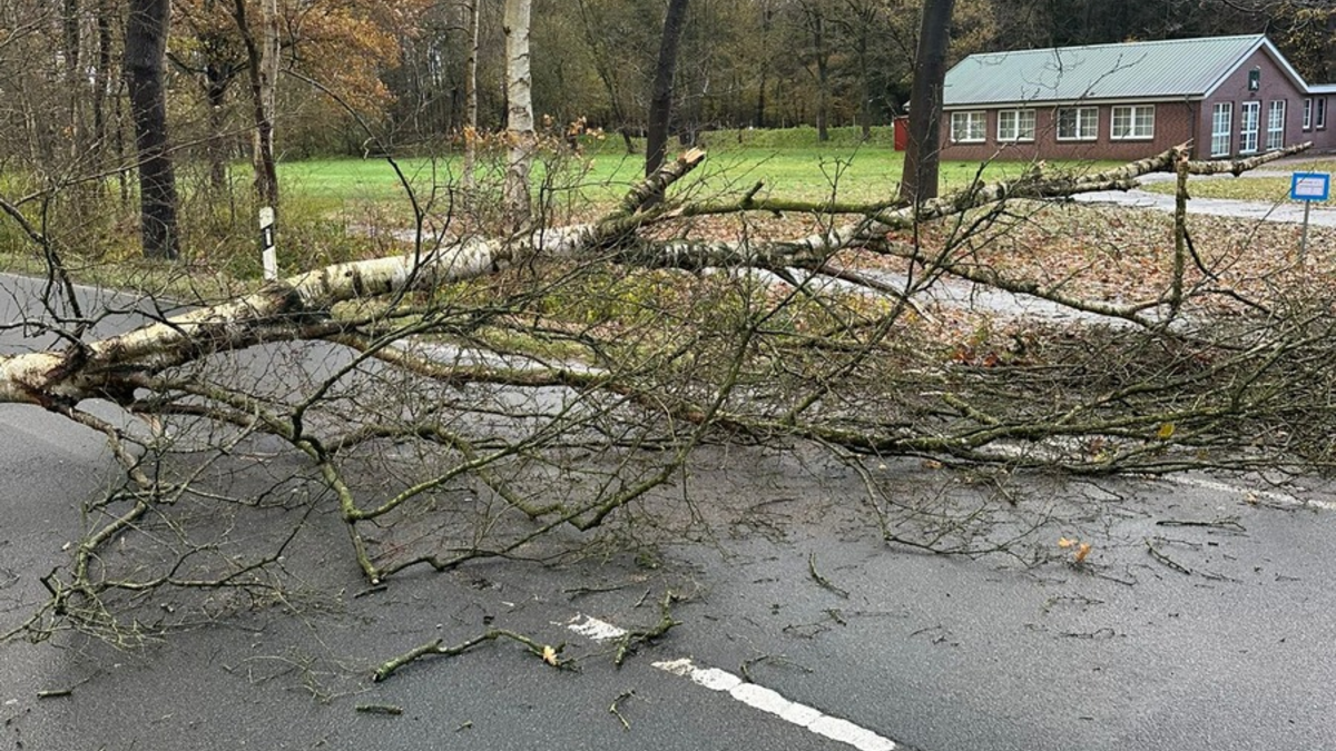 FFW Schiffdorf: Windböen sorgen für Einsatz der Ortsfeuerwehr Wehdel: L143 blockiert - Foto: presseportal.de