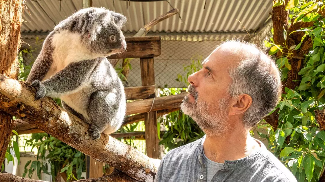 20 Jahre Terra X: Faszination Erde/ Christoph Maria Herbst, Sibel Kekilli und Wotan Wilke Möhring sind für das ZDF unterwegs in Australien, Kenia und Island - Bild: presseportal.de