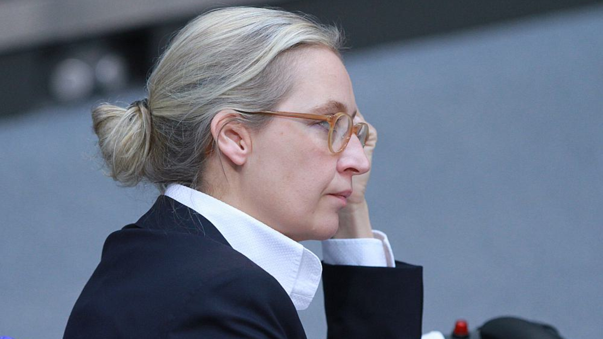 Alice Weidel (Archiv) - Foto: über dts Nachrichtenagentur